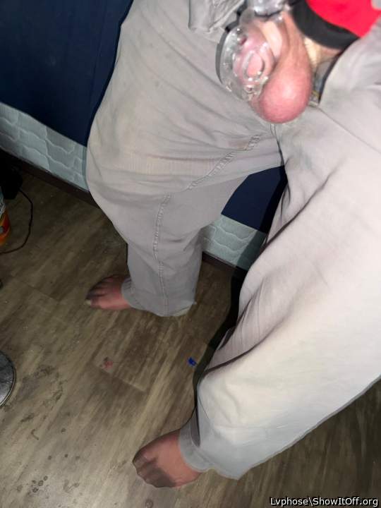 Photo of a bat from Lvphose