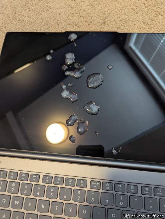 Photo of a cavalier from Bifun