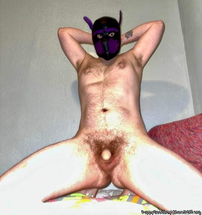 Testicles Photo from PuppyGoodBoy