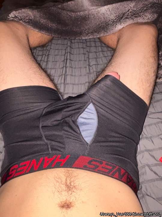 Photo of a bat from Always_Hard69