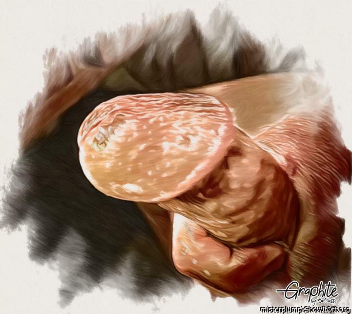 Photo of a phallus from misterplump