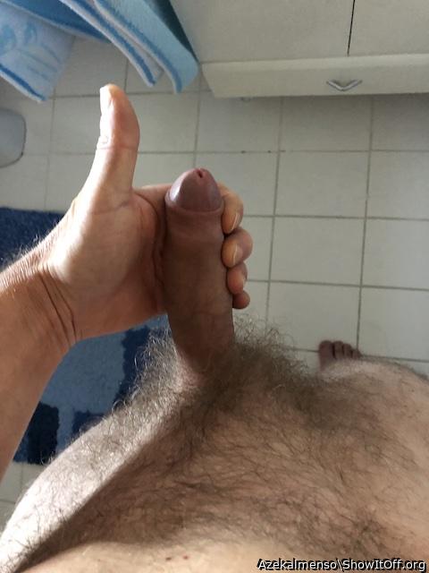 Photo of a middle leg from Azekalmenso