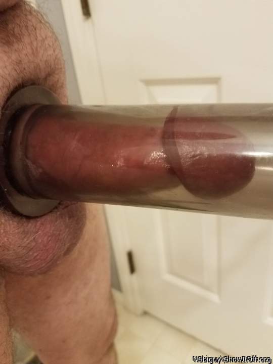 Photo of a lizard from NSbiguy