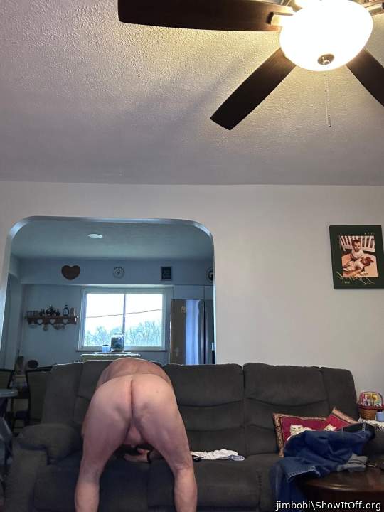 Photo of a middle leg from jimbobi