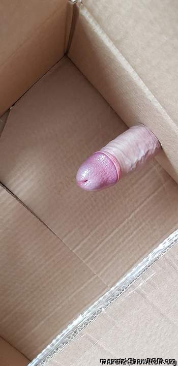 wow rampant cock in a box      