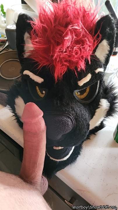 Giving him a taste of my wolf cock!
