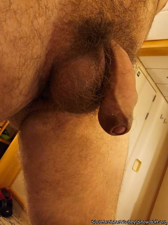 Photo of a penile from S0uth3rnBearNCubby