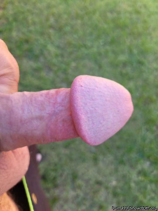 Photo of a meat stick from Puma33