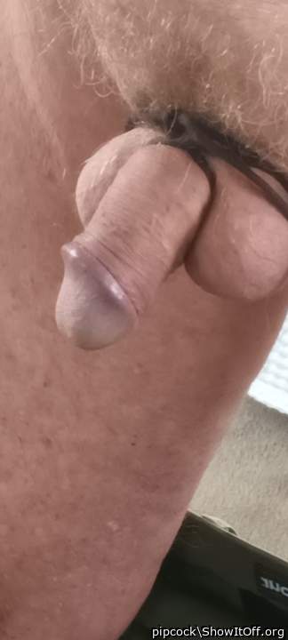 Laced cock!