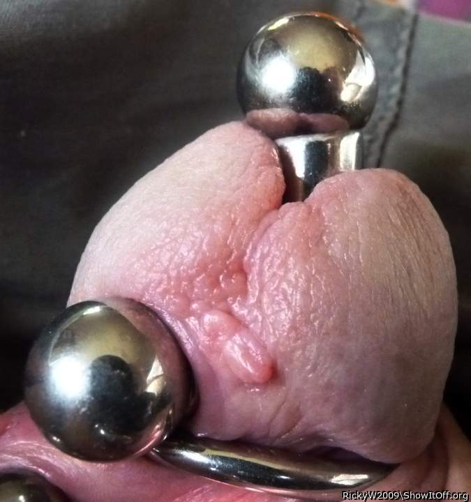 Awesome ringed and pierc4d cock!      