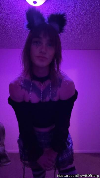 Photo of a weasel from Mascaraaa