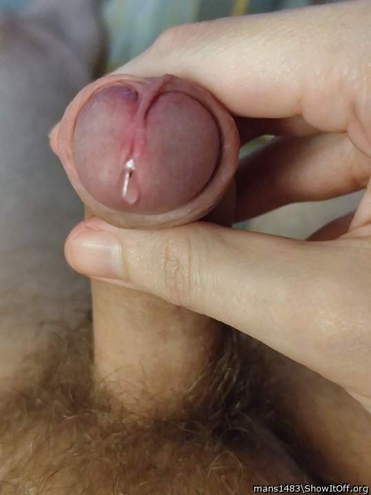 Photo of a private part from mans1483