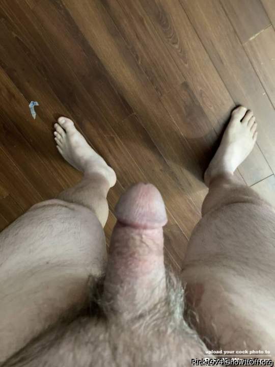 Photo of a weasel from Rick1974