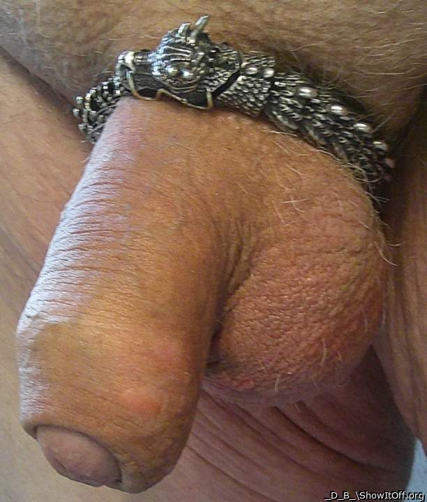 Dragon Cock Ring