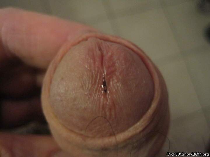 Photo of a wiener from Dick88