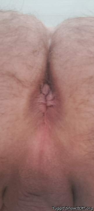 Photo of a snake from Tuggit