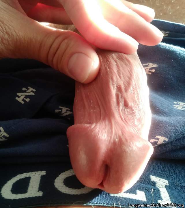 Photo of a middle leg from Longweiner10
