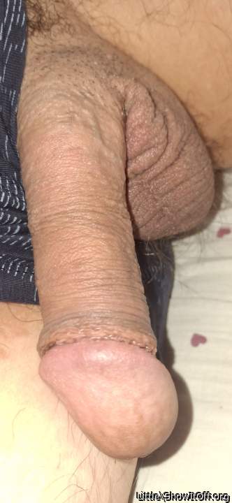 Photo of a horn from Little