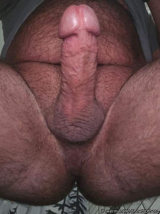 Photo of a bat from Powerman490