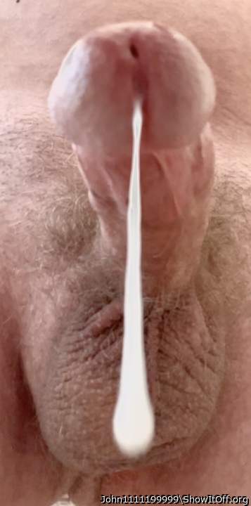 Photo of a bat from John1111199999