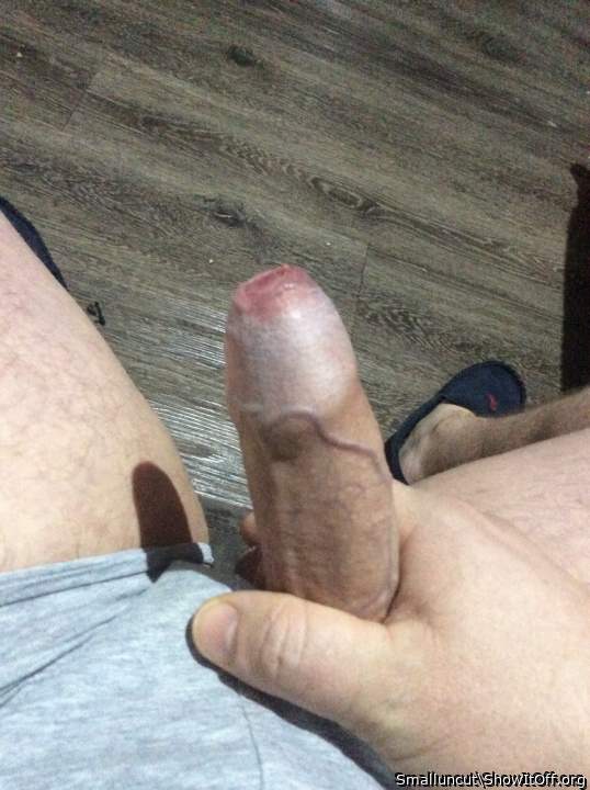 Photo of a boner from Smalluncut