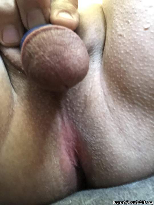 Photo of a cock from tugme