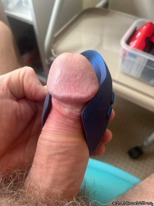 Photo of a python from ArthaJ