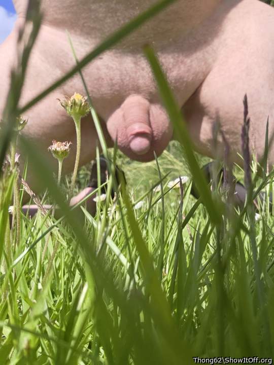 Photo of a schlong from Thong62