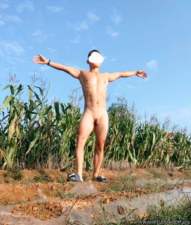 Photo of a phallus from anorwoo001