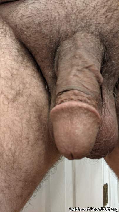 Photo of a penile from Wetthroat
