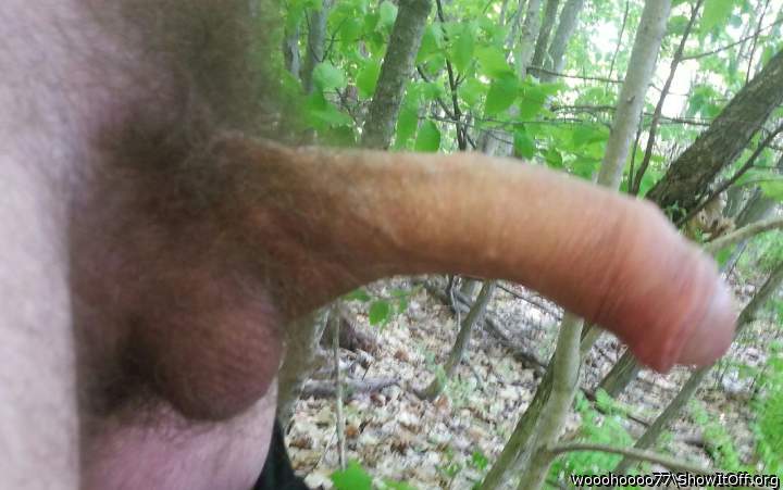 Would you suck my  cock or dock with me.. if you saw me on the trail  ??