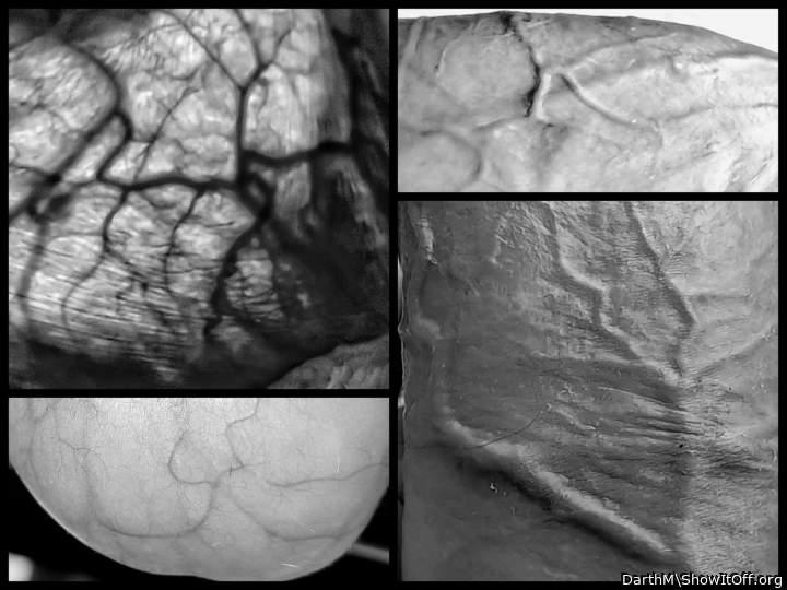 Veins patterns