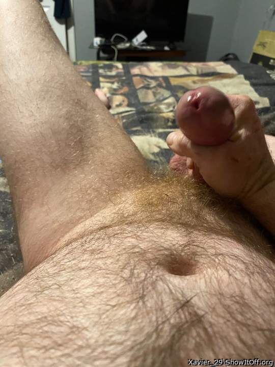 Photo of a third leg from Xavier_29