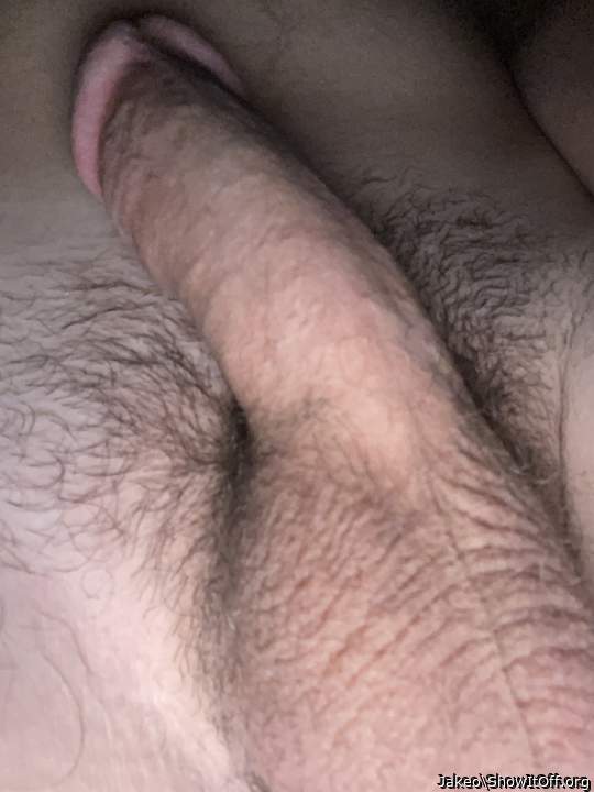Photo of a cock from Jakeo