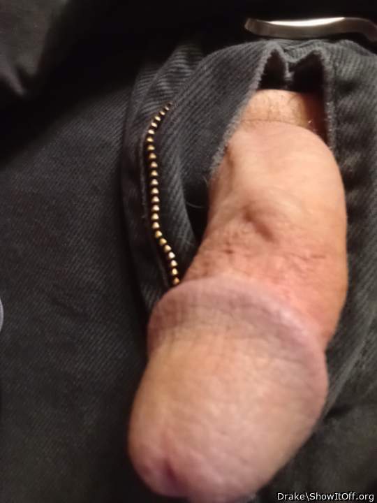Photo of a bat from Drake