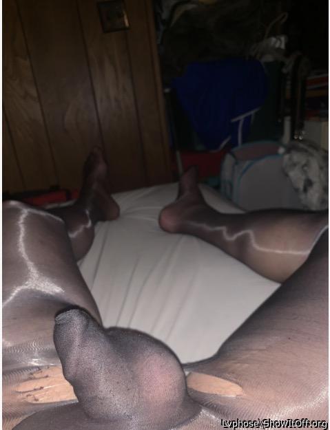 Photo of a weasel from Lvphose