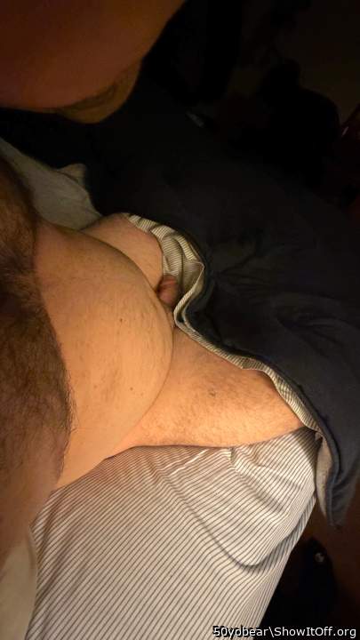 Photo of a rooster from 50yobear