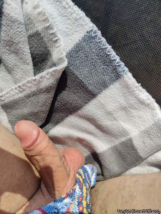 Photo of a stiffie from Hey6o