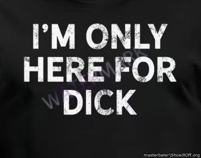 Photo of a cavalier from masterbater