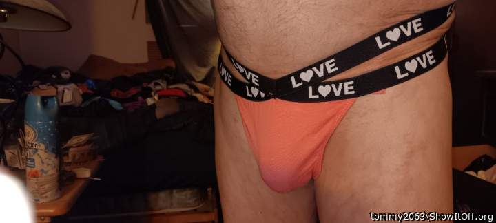 Photo of a weasel from tommy2063