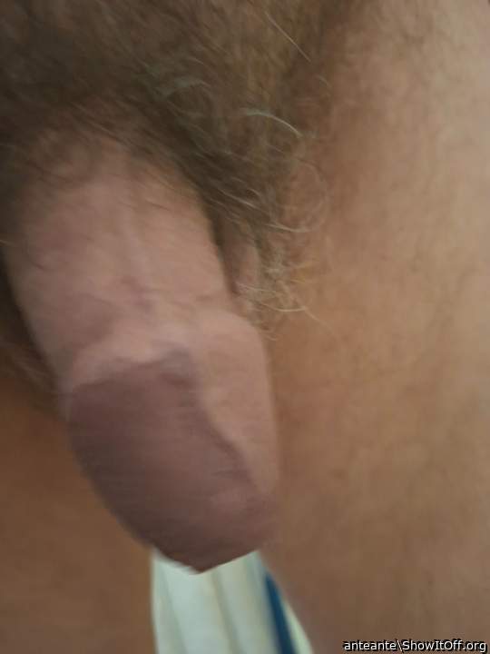Photo of a tool from anteante