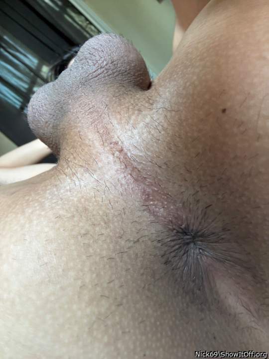 Photo of Man's Ass from Nick69