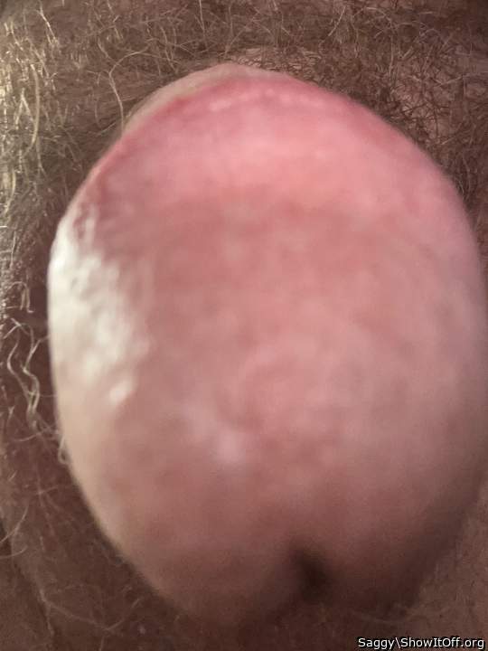 Photo of a equipment from Saggy