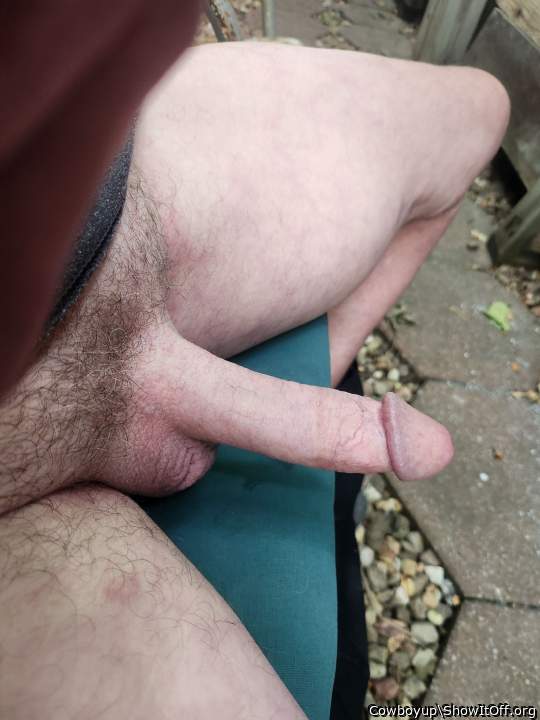 Nice hard cock  
