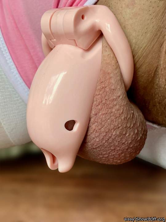Dolphin Chastity