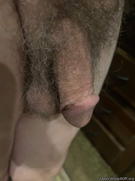 Photo of a snake from Pappy