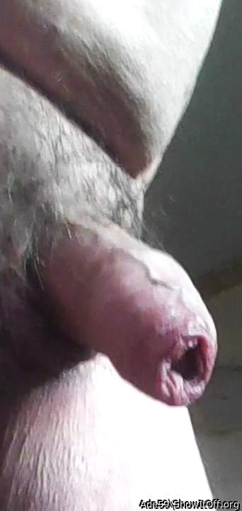 Purrfectoon! I need to enter and lick inside to activate you