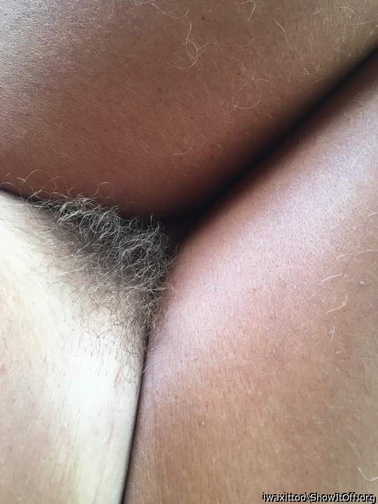 Just a bush....