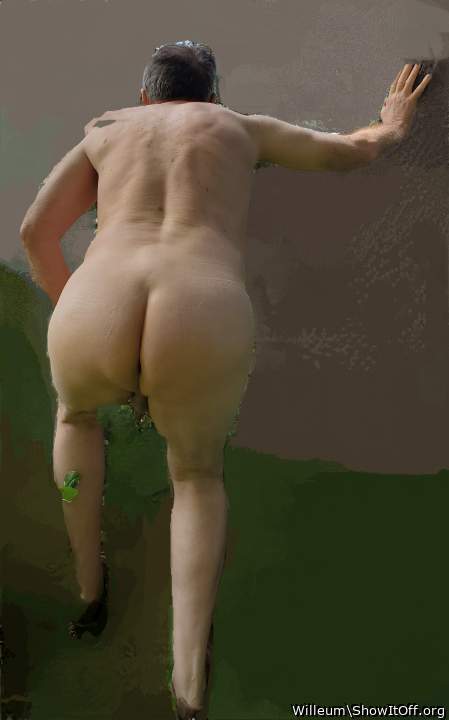 Photo of a bat from Willeum