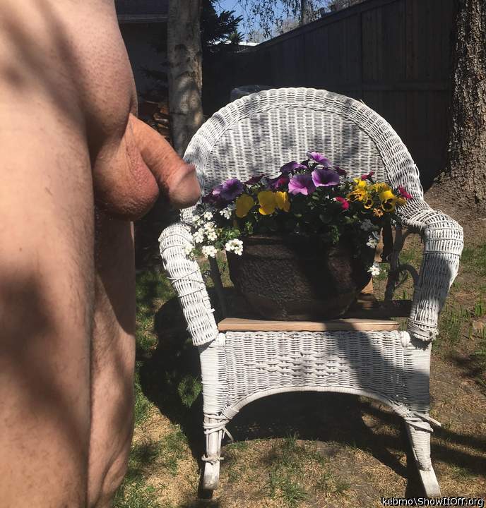 Springtime, flowers, cocks, and being nude!      
